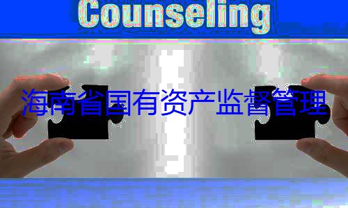 有福接受审委副书记王查调查海南省国有资产监督管理委员会党
